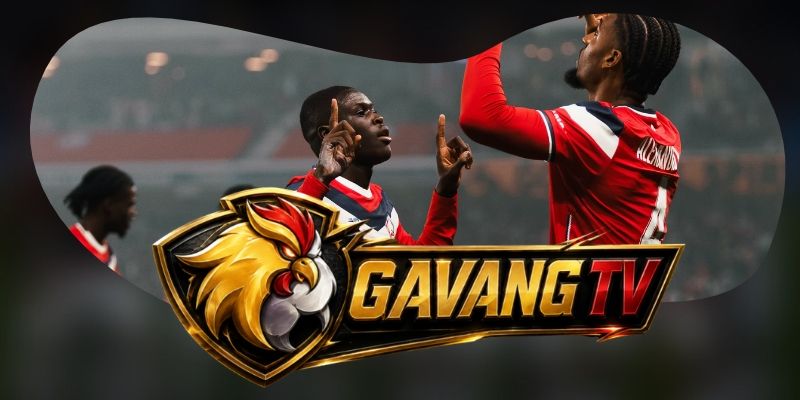 Nhận định kèo FK Bodo/Glimt vs LOSC Lille 03h00 04/11